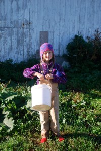 Lily is helping Jon spread new grass seed.