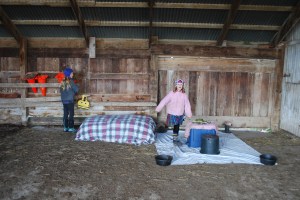 The girls played for hours one morning back behind the barn.  This is their house - they were pretending to be Inuit people.