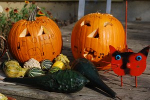 Super cute singing pumpkins!