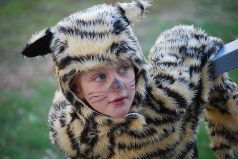 Last year for the tiger outfit!