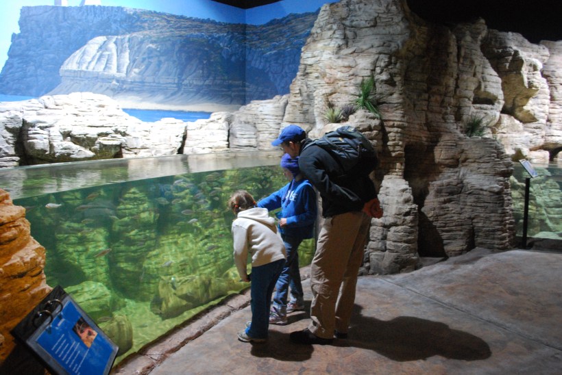 We took a bus to the north end of Malta to a town called Qawra.  We spent the rest of the afternoon at the Malta National Aquarium.