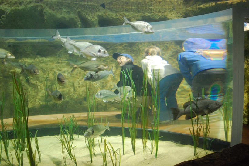 Walking through a water tunnel.