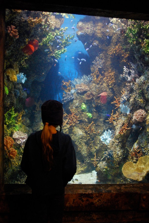 The coral reef displays were pretty neat, too.