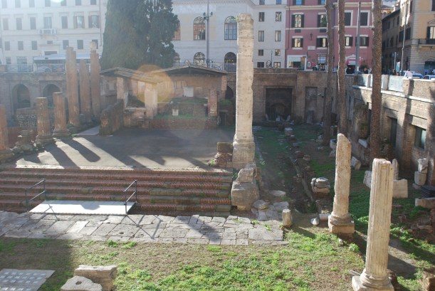 This is another set of ancient ruins, Largo Argentina.  It's so interesting how it's right in the middle of a busy part of the city.  It is sunk down because actually the city was built on top of all these ruins.  It makes you wonder how much more might be found under the city streets! 