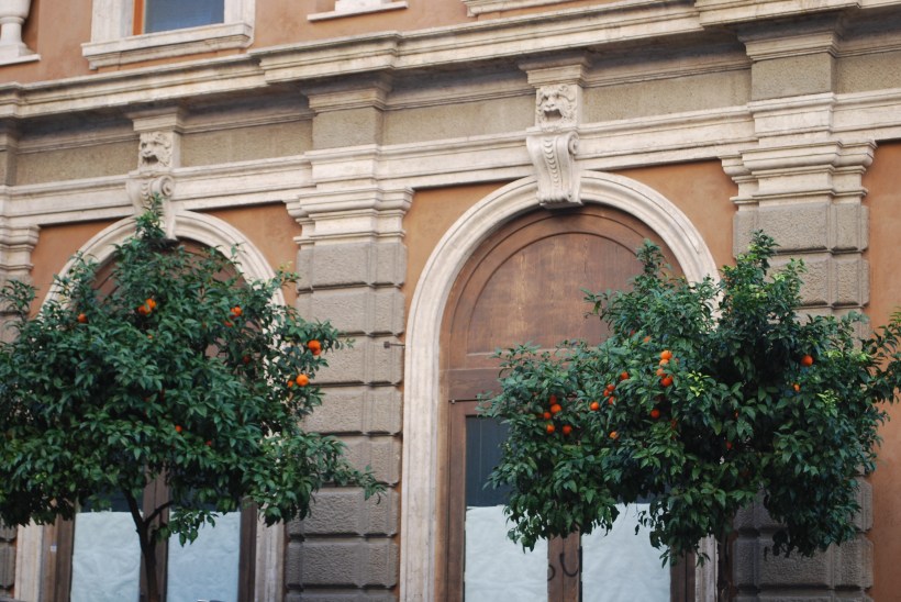 I loved the orange trees lining the streets.  And the beautiful details in the buildings.  Every street we walked down had something beautiful to look at.  And according to Sylvia, every street had about 3 churches on it!