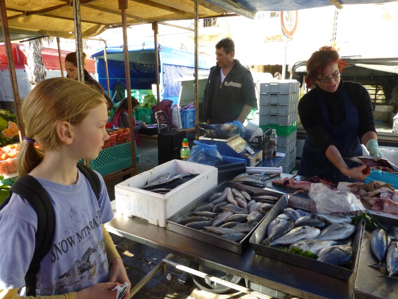The highlight was watching an octopus keep trying to climb out of the try.  It almost fell off the table!
