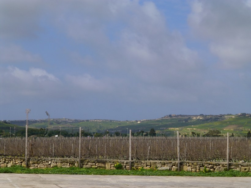 The Maltese countryside.  We don't see very much of this from our flat in Sliema!  It really is quite beautiful.  in front is a winery that we'll have to go back and visit!