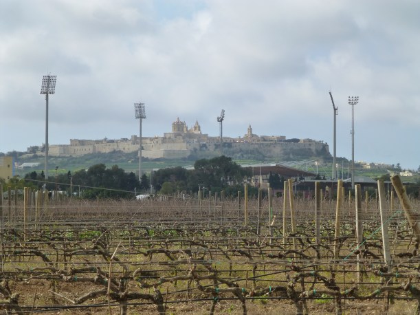 The city on the hill is Rabat, the former capital of Malta.  We haven't been there yet, but it sure was inviting!  The big lights are at the National Football Stadium.