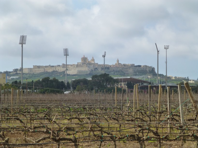 The city on the hill is Rabat, the former capital of Malta.  We haven't been there yet, but it sure was inviting!  The big lights are at the National Football Stadium.