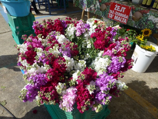 We bought lots of flowers - calla lilies, daffodils and these fragrant beauties.  I'm not sure what they are but I love them! 