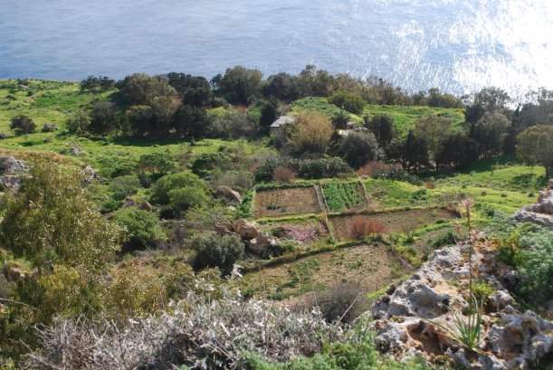 Below the cliffs was farmland interspersed with wild areas.  I'm not sure if people live there year around or just have their farms there, but Sylvia and I agreed, we would love to live in that valley net to the ocean!