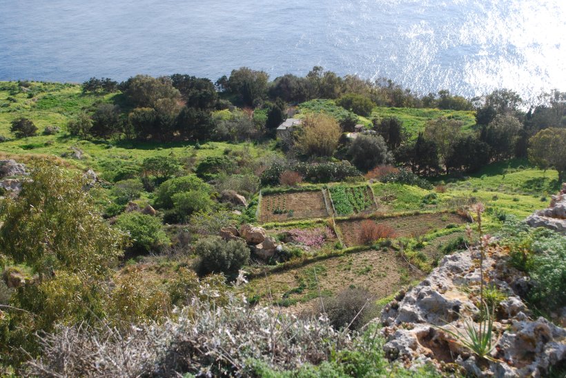Below the cliffs was farmland interspersed with wild areas.  I'm not sure if people live there year around or just have their farms there, but Sylvia and I agreed, we would love to live in that valley net to the ocean!