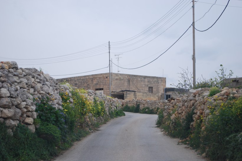 We took more back roads to see more coastline and found ourselves driving through farmland and along narrow country roads like this one.  This is a two way road, but two cars could never fit side by side, so there were pull outs now and then.  We had to use one once.