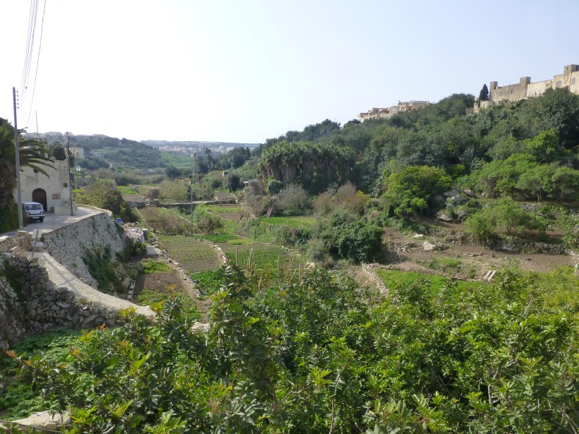 On Sunday morning, we explored on our own and found this gorgeous little valley right in Rabat.  It was fun to see so much green and lots of garden plots with spring vegetables.