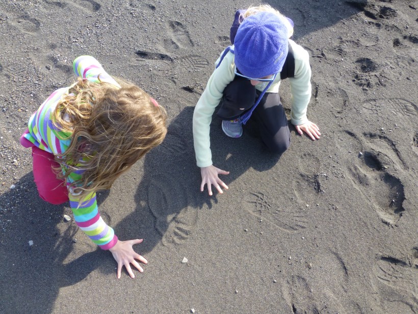 The girls had fun playing in the sand.  We had to bring a bunch home...