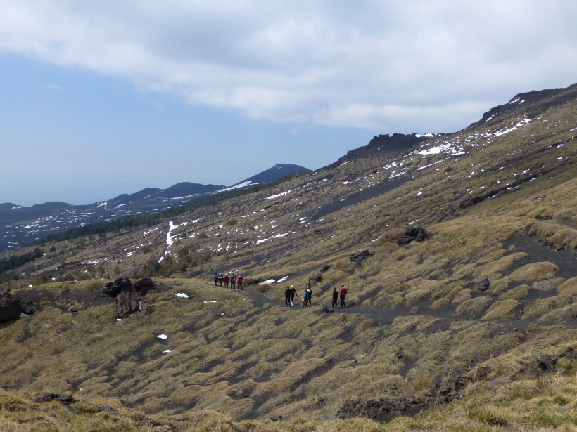 The landscape was so different than other mountains I've hiked.  The soil was black and kind of sandy and the vegetation at this elevation and side of the mountain was very sparse.