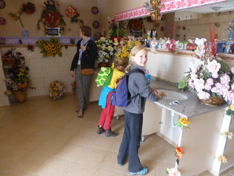 Okay - crazy picture, I know, but seriously - the coolest public restroom I've ever seen.  Most of the public bathrooms we encountered in Turkey charged a one euro entrance fee which helped pay for someone to take care of it.  Obviously the woman who took care of this bathroom loved flowers and took pride in her work!