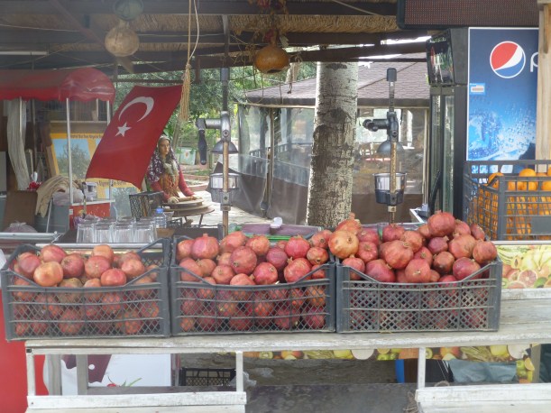 One of my favorite Turkish treats - pomegranite juice!  These stands were all over.  It was really fun to watch someone effortlessly smash half a pomegranite with the squeezer and retrieve the fantastic juice.
