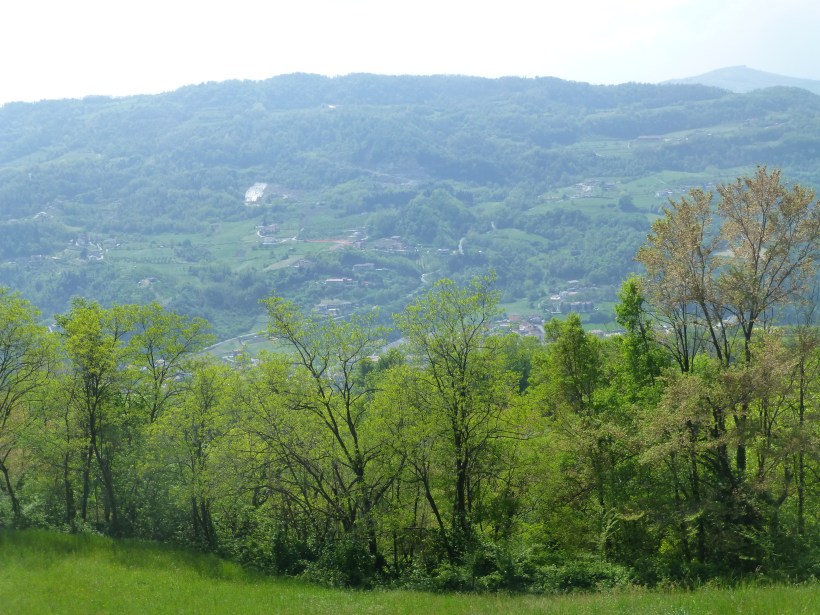 We chose Verdiana because it was close to Chiampo, the town where my grandpa's father was from.  We spent an afternoon driving to the city (and enjoying the lovely drive!) and walking around.