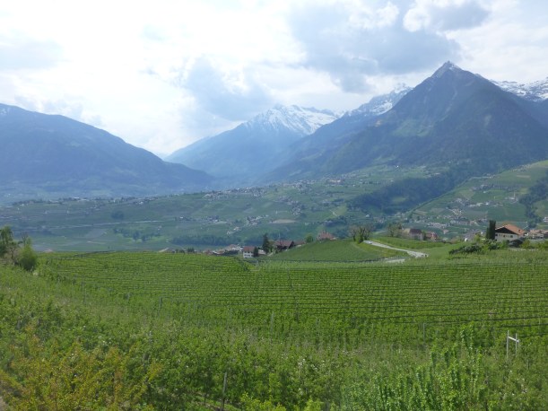 On Friday, we left the foothills and drove to the mountains.  Our guest house was in Shenna, about 3 hours north.  It was a beautiful drive and an incredible valley.  The region is called South Tirol and it is huge apple country.  In fact, the apples we eat here in Malta are from the Sud Tyrol region.