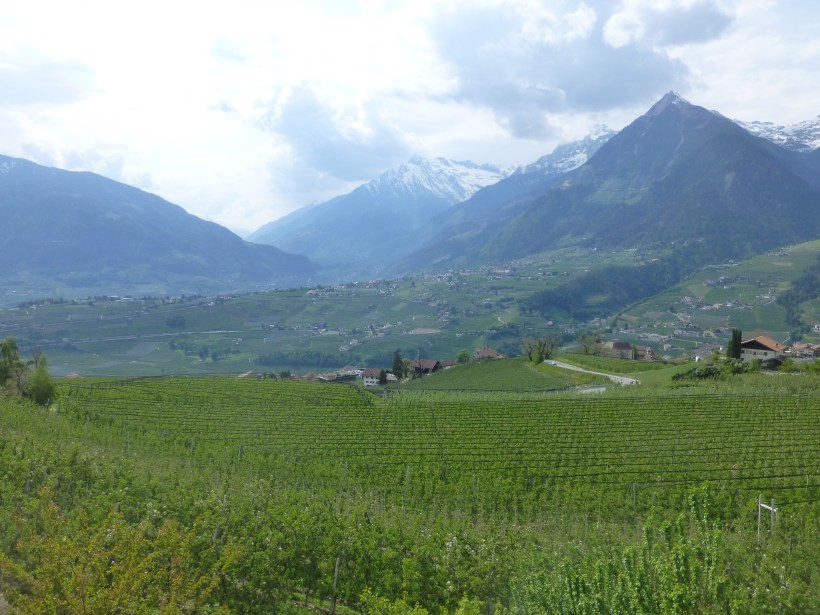 On Friday, we left the foothills and drove to the mountains.  Our guest house was in Shenna, about 3 hours north.  It was a beautiful drive and an incredible valley.  The region is called South Tirol and it is huge apple country.  In fact, the apples we eat here in Malta are from the Sud Tyrol region.