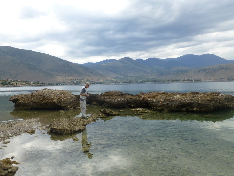 On our way to Delphi on the mainland, we stopped at a lovely little spot near Galaxiti to stretch our legs. The water was so clear and we saw lots of fun tidepool critters. We even got to hold hermit crabs and black spiky sea urchins!