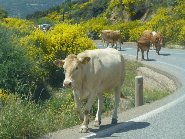 Over the mountain pass, we had to wait for oncoming traffic.
