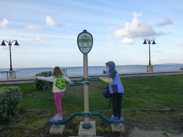 This is the exercise equipment that they have at lots of parks.