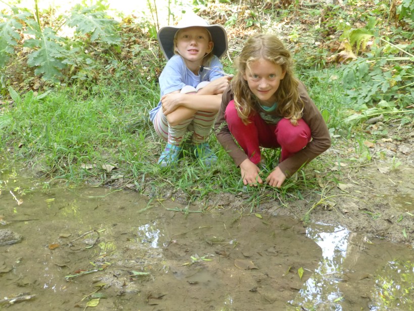 Looking for the Painted Frog, Malta's only native amphibian. They are found only here and in Sicily. And guess what? What saw some! A pretty cool discovery.