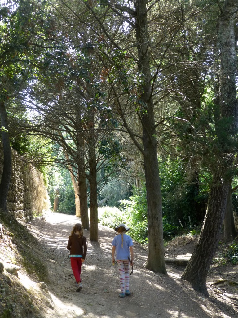 A cool respite on a hot day.