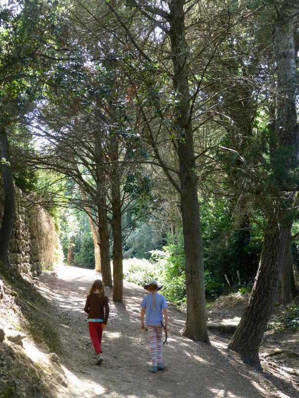 A cool respite on a hot day.  