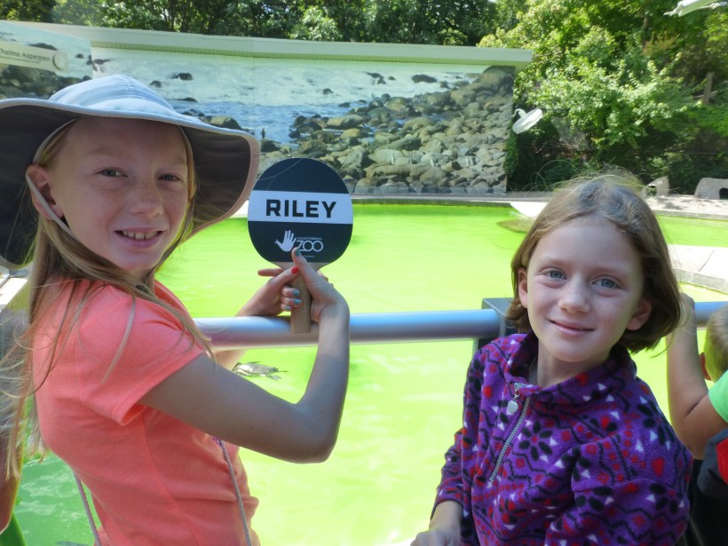 We spent a morning at the Children's Zoo. The penguins might have been our favorite. We watched their feeding time and the girls helped count how many fish Riley ate.