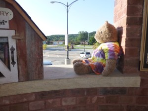 A thoughtful Old Bear, looking out over the parking lot.