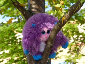 Photography.  Sylvia and Lily have fun taking pictures and this was an especially cute photo shoot of their stuffed animals out on the streets of Decorah.