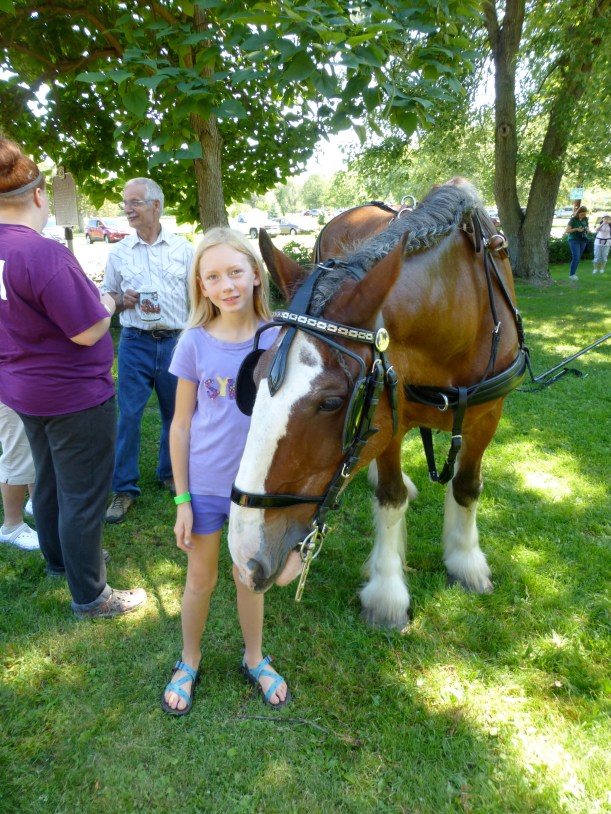 We also like getting to pet some of the horses, too.  This draft horse came all the way from Nebraska to participate in the Picnic Class.