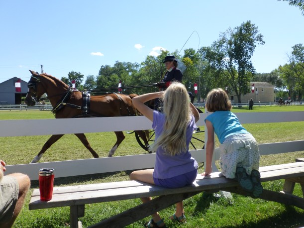 This was our 4th year going to the Villa Louis Carriage Classic in Prairie du Chien, WI.  We love watching the horse drawn carriages.  We have a friend who competes and we love to cheer her on!