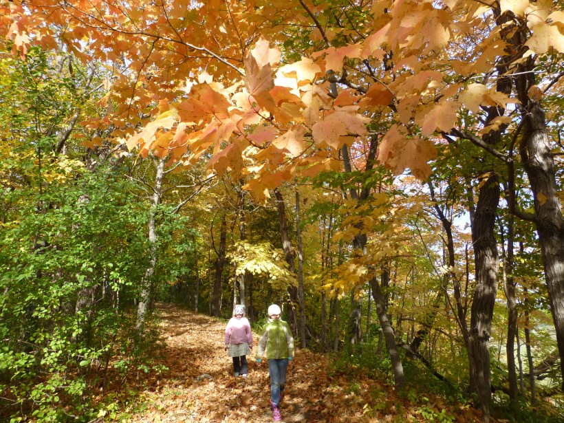 Walking along the ridge above Pulpit Rock.