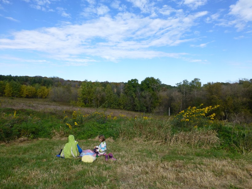 Lunch at Falcon Springs WMA - a lovely view!