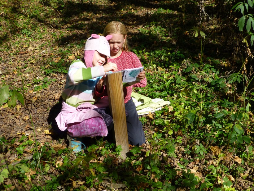 We found a rubbing post at Lionberger preserve.  We love the Safari program!  We have been to many new places because of it.