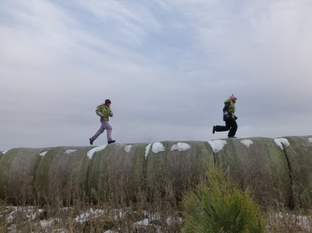 New to our Christmas tree tradition this year: climbing and running on round bales.