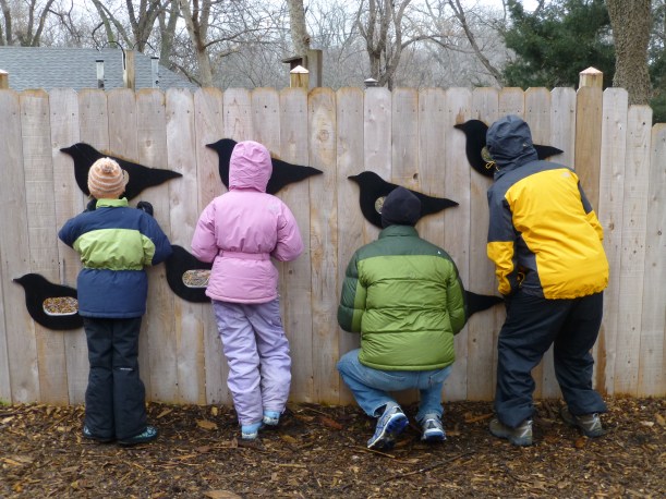 In Lincoln for Christmas. We took a hike at Pioneer's Park Nature Center and watched the birds.