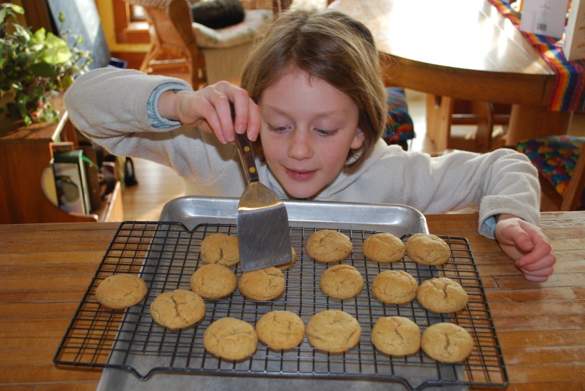 Lily made cookies to go along with the meal.  She's not that into cooking, but she'll make anything that has sugar in it and that she can eat.  :)