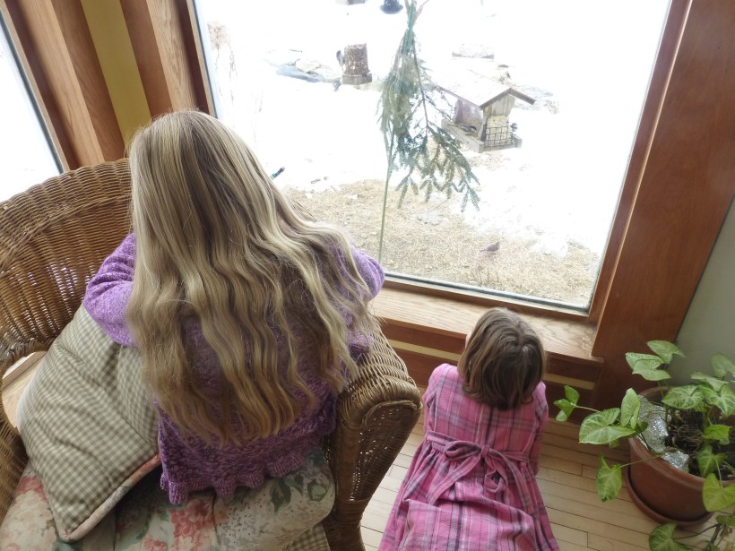 And we counted at home, too.  We counted eight different species.