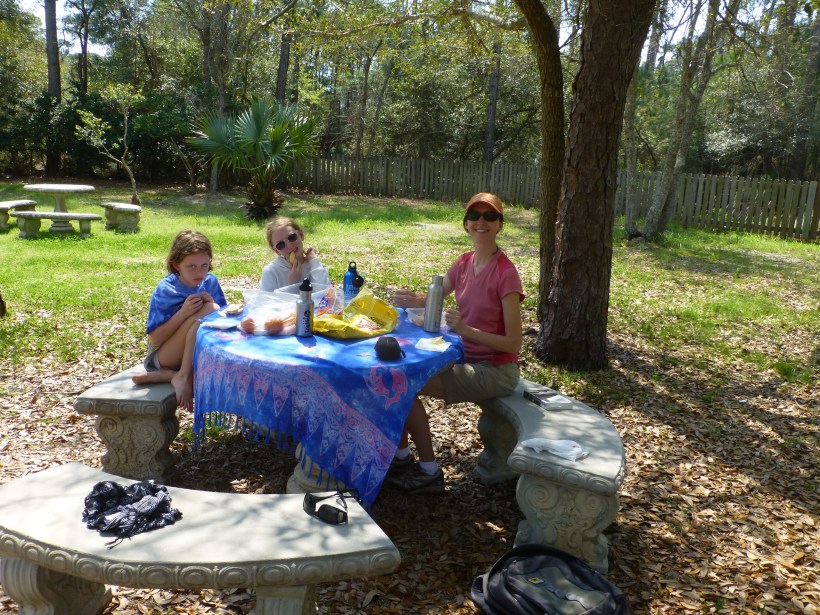 We had a picnic one day but it didn't last long - the biting insects in the woods were ferocious. 