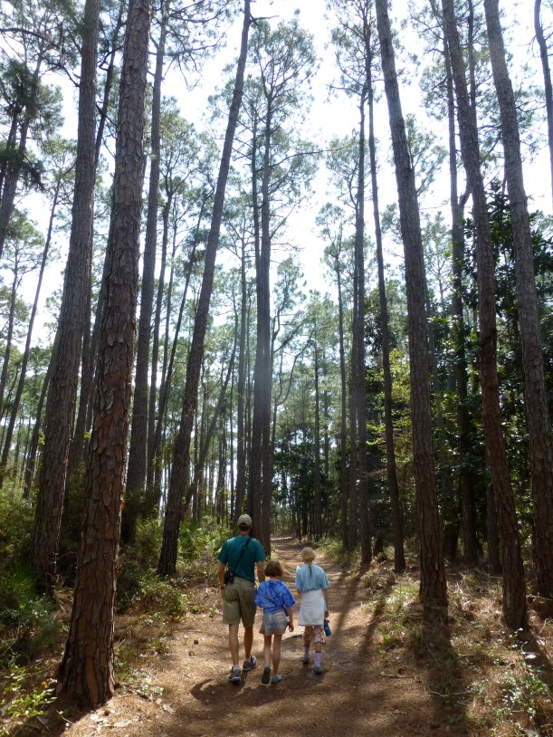 We took a lovely hike in an Audubon Bird Sanctuary. Surprisingly, there were not many bugs here.