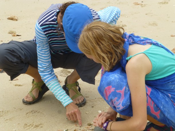 We had lots of fun looking at all the hermit crabs. It looked like the ground was moving, there were so many!