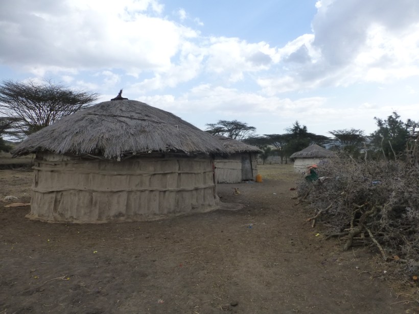 Then, Musa took us to his boma up in the beautiful hills. A boma is a collection of family houses and a fenced area for keeping goats and sheep at night. 