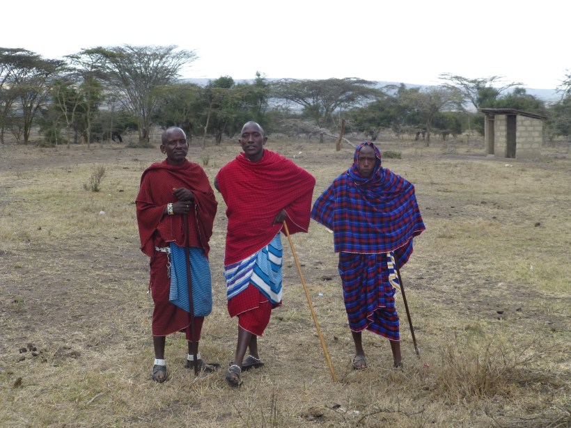 Musa's relatives. The Maasai are pastoralists and spend time out with their animals every day. The goats and sheep stay near the boma and are brought in at night. Now, during the dry season, the cattle are taken a long ways away for better food and water. The cattle stay out with men from the boma for weeks at a time.