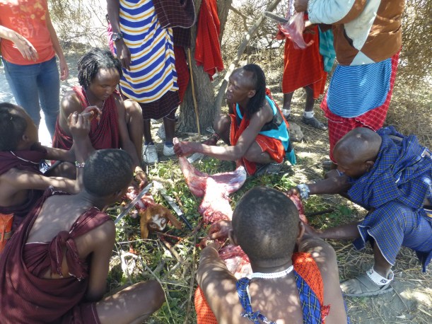 We attended a ceremony called orpul. In a nutshell, the men of the village kill a goat for food and medicine, including drinking the blood, eating raw meat and cooking just about every part of the goat. We ate cooked liver and legs and ate a medicinal soup made out of many parts of the animal.