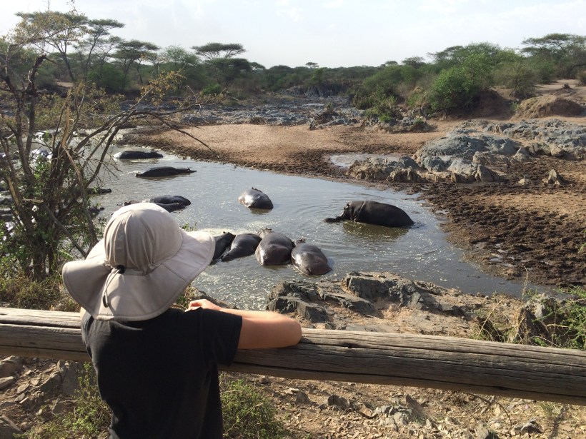At the hippo pool. The hippos were so noisy! They were constantly slapping the water with their tails to splash water on their backs.